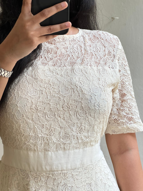 Creamy Lacy - Ready Dispatch